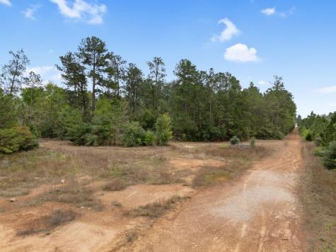 15807 Vine View Court Willis TX 77378