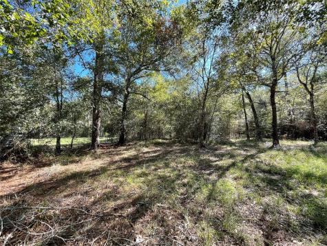 25399 Brushy Creek Drive Hockley TX 77447