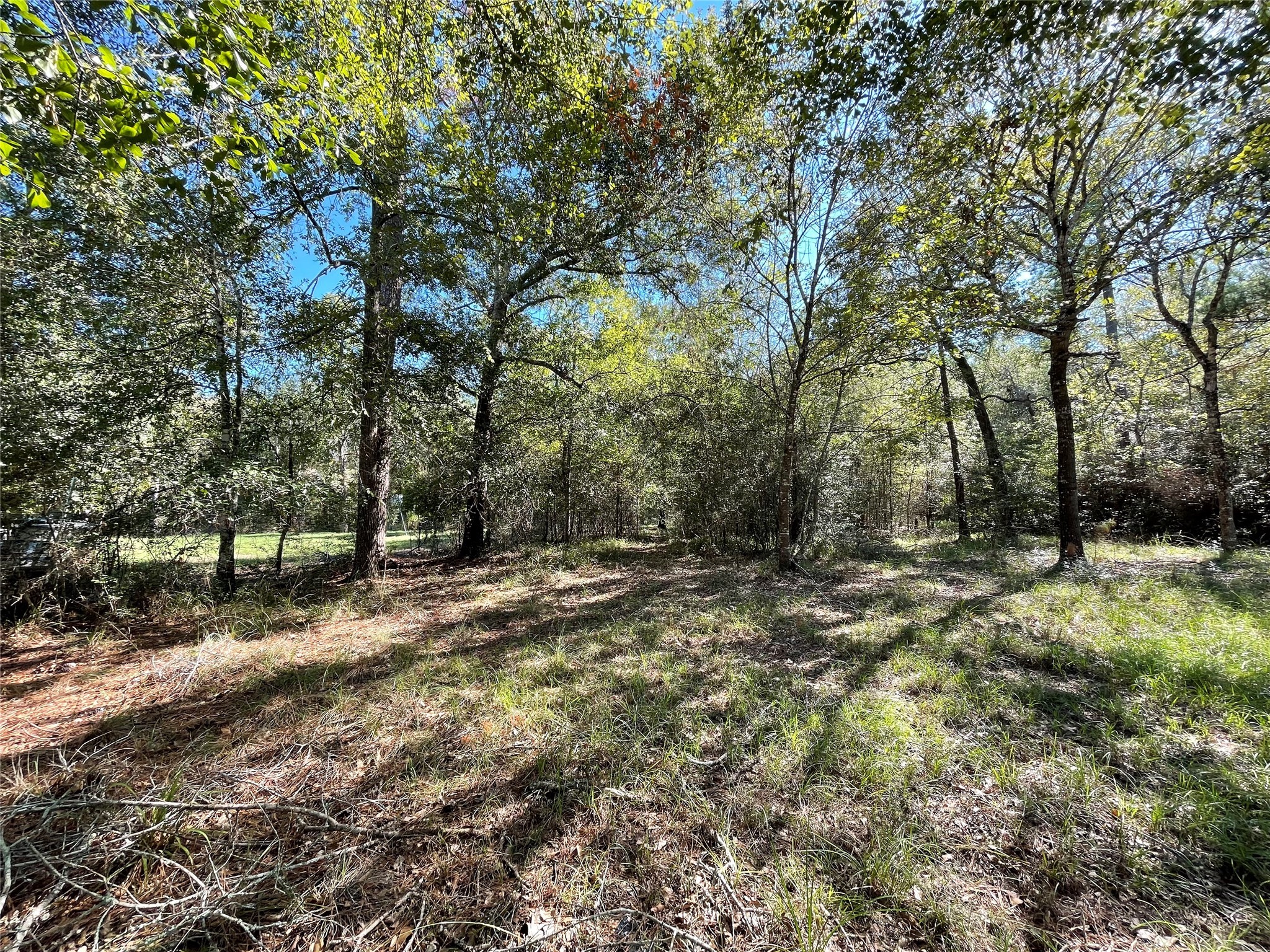 25399 Brushy Creek Drive Hockley TX 77447