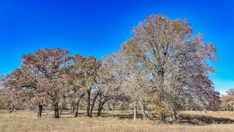 Tbd Highway 71 By- Feeder Road La Grange TX 78945