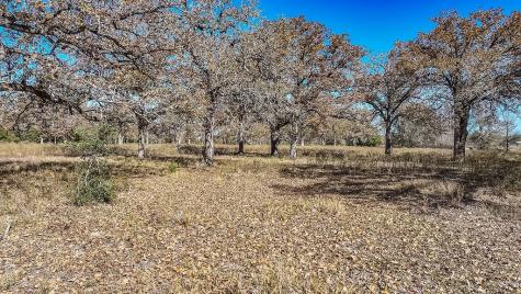 Tbd Highway 71 By- Feeder Road La Grange TX 78945
