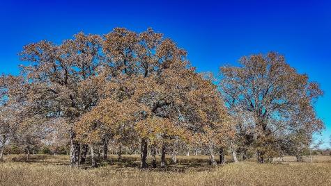 Tbd Highway 71 By- Feeder Road La Grange TX 78945