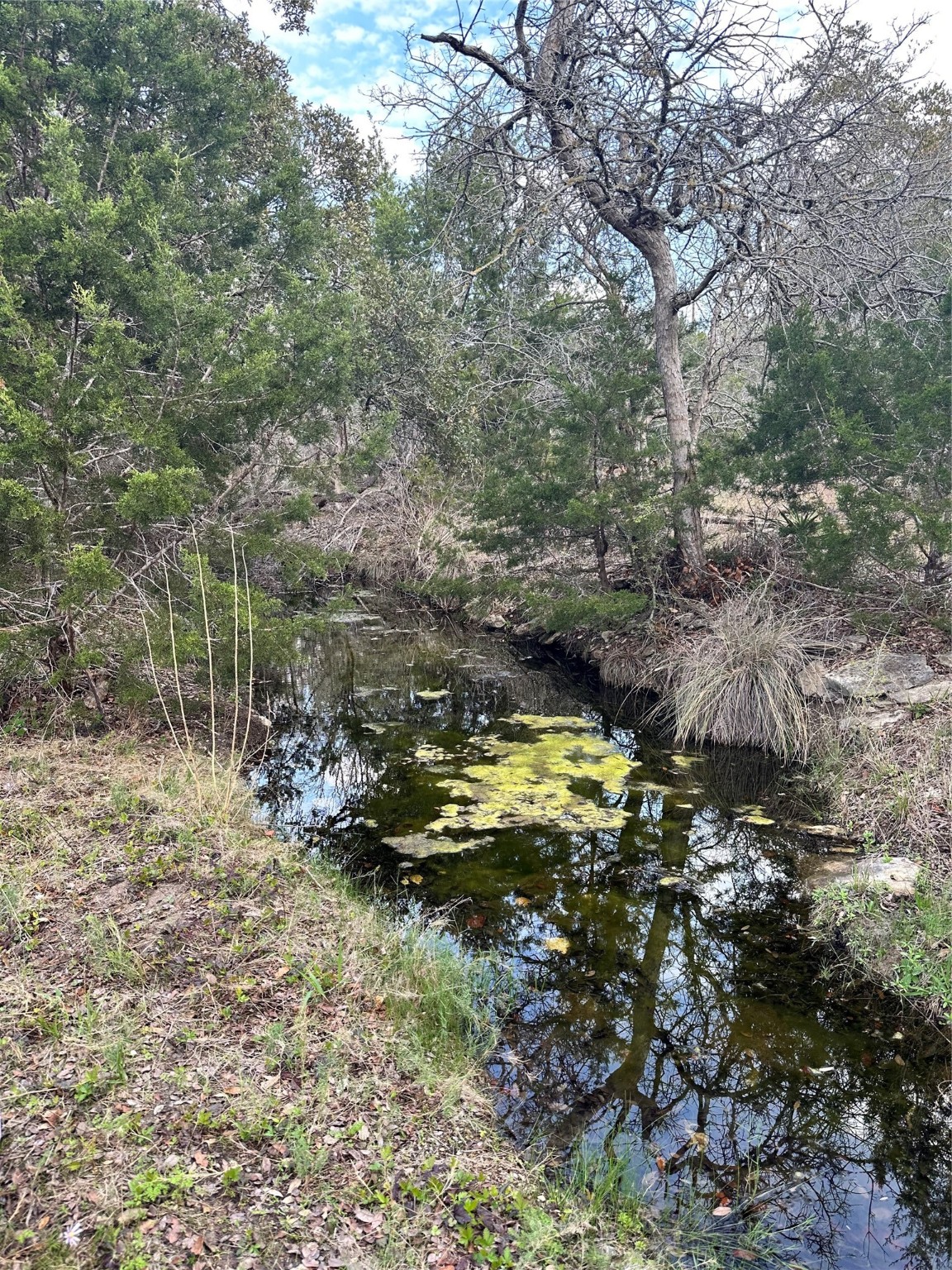 31291 Ranch Road 12 Dripping Springs TX 78620