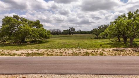 Lot 81 Stock Pond Drive Drive Harper TX 78631