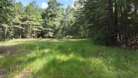 Tbd Walker Lane Lane Huntsville TX 77320