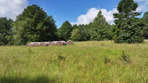Tbd Walker Lane Lane Huntsville TX 77320