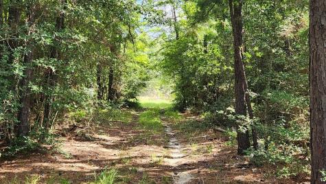 Tbd Walker Lane Lane Huntsville TX 77320