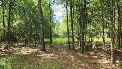 Tbd Walker Lane Lane Huntsville TX 77320