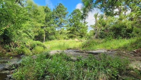 Tbd Walker Lane Lane Huntsville TX 77320