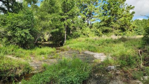Tbd Walker Lane Lane Huntsville TX 77320