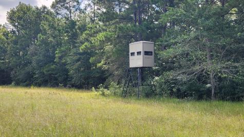 Tbd Walker Lane Lane Huntsville TX 77320