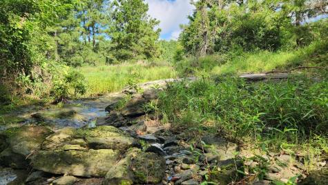 Tbd Walker Lane Lane Huntsville TX 77320
