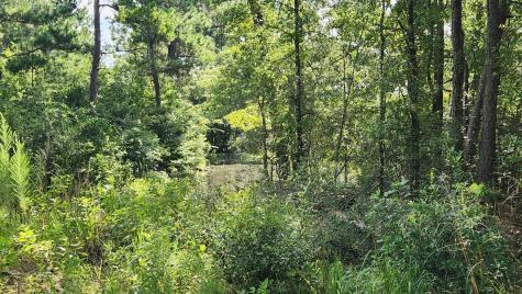 Tbd Walker Lane Lane Huntsville TX 77320