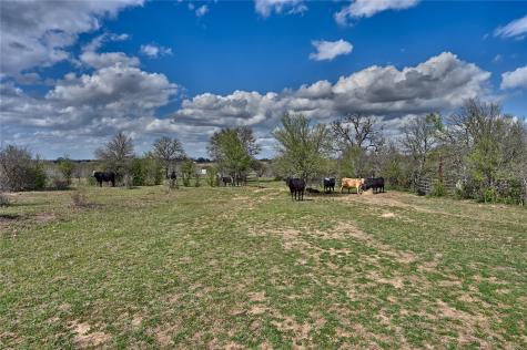 Tbd Fm 2440 Giddings TX 78942