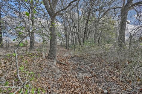 Tbd Fm 2440 Giddings TX 78942