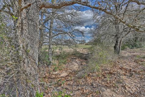 Tbd Fm 2440 Giddings TX 78942