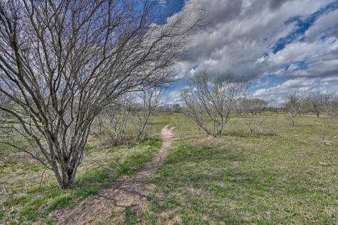 Tbd Fm 2440 Giddings TX 78942