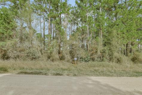 Lot 719 Sand Dollar Drive Livingston TX 77351