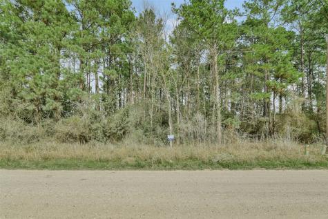 Lot 719 Sand Dollar Drive Livingston TX 77351