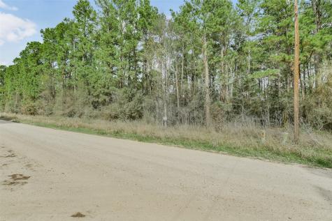 Lot 719 Sand Dollar Drive Livingston TX 77351