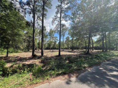 Tbd Lot 3 Deerwood Drive Plantersville TX 77363