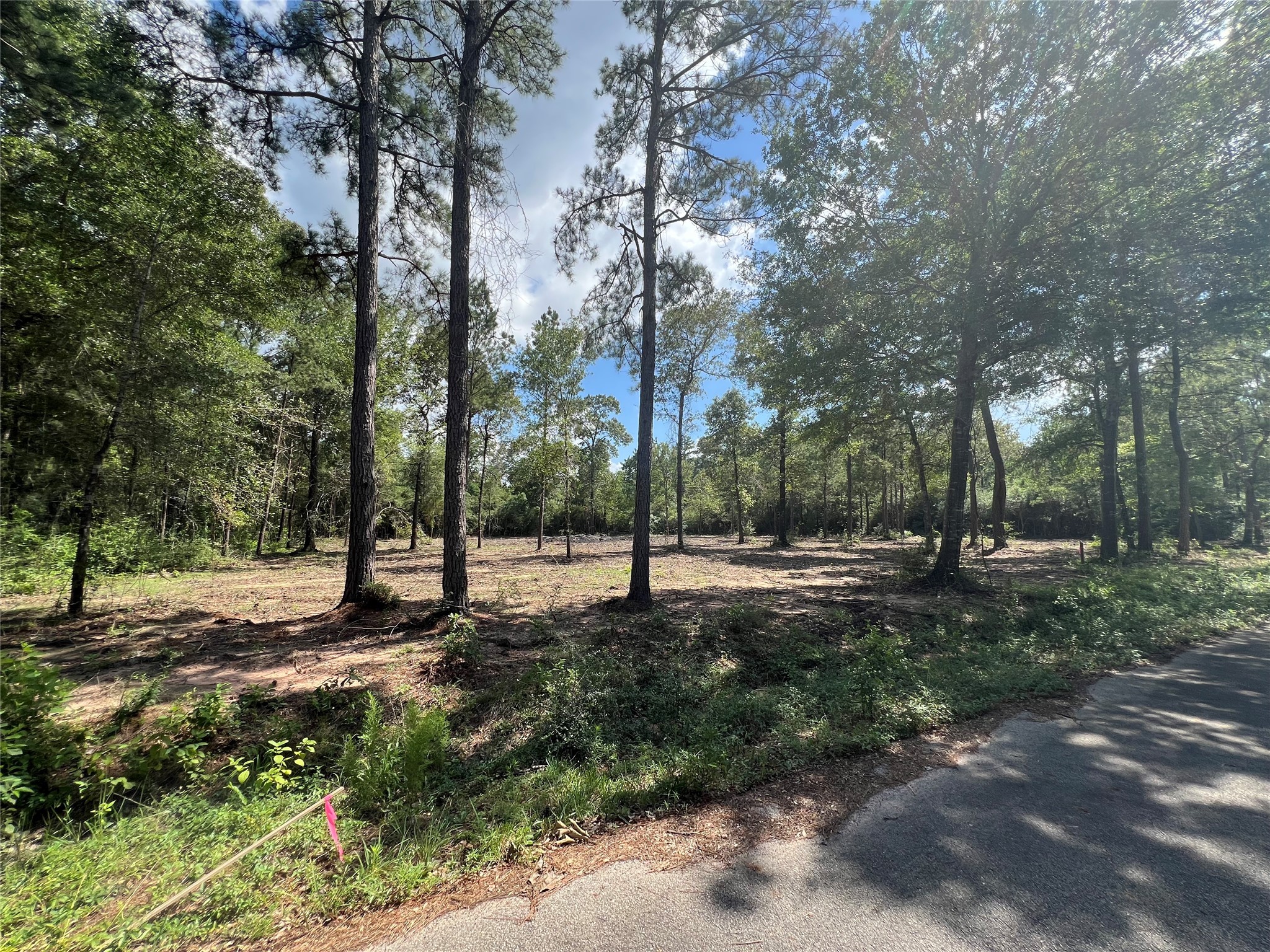 Tbd Lot 3 Deerwood Drive Plantersville TX 77363