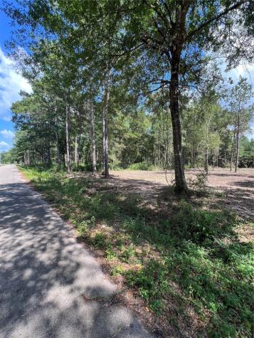 Tbd Lot 3 Deerwood Drive Plantersville TX 77363