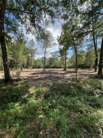 Tbd Lot 3 Deerwood Drive Plantersville TX 77363