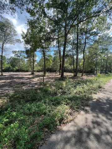 Tbd Lot 3 Deerwood Drive Plantersville TX 77363