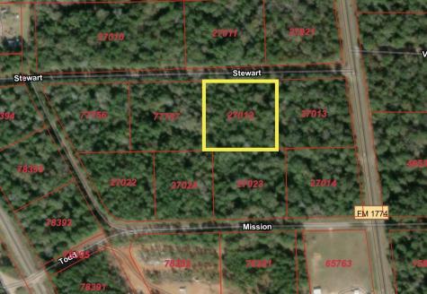 Tbd Lot 3 Deerwood Drive Plantersville TX 77363