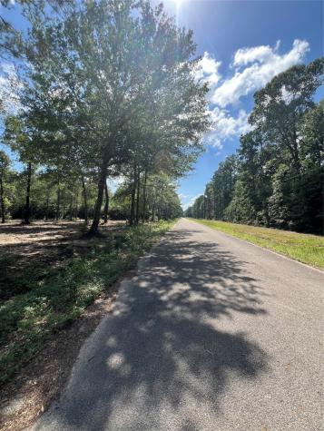 Tbd Lot 3 Deerwood Drive Plantersville TX 77363