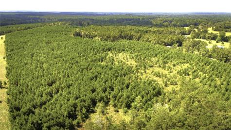 Tbd Stutts Hill Road Livingston TX 77351