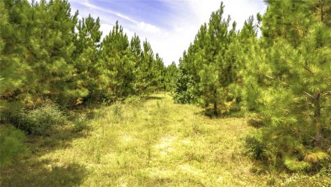 Tbd Stutts Hill Road Livingston TX 77351
