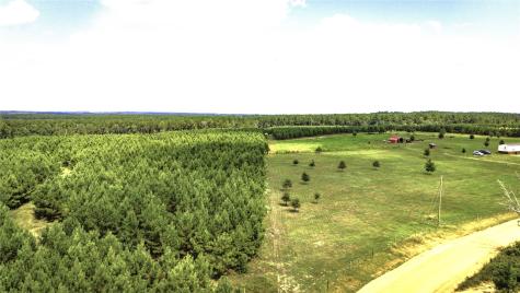 Tbd Stutts Hill Road Livingston TX 77351
