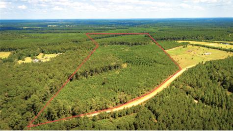 Tbd Stutts Hill Road Livingston TX 77351