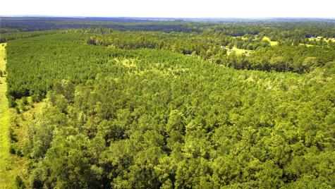 Tbd Stutts Hill Road Livingston TX 77351