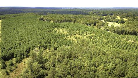 Tbd Stutts Hill Road Livingston TX 77351