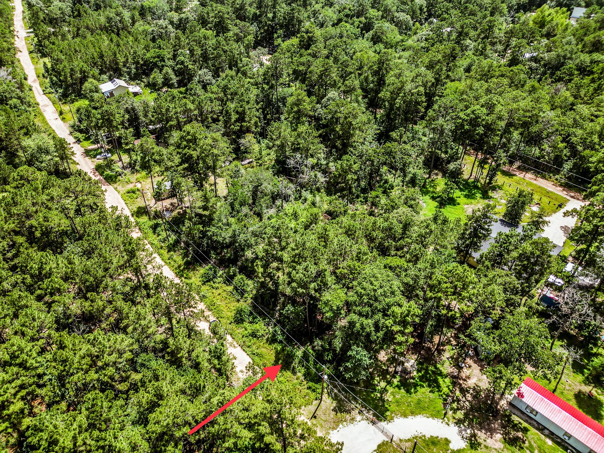 Tbd Lot 22 Scarlet Oak Drive Plantersville TX 77363