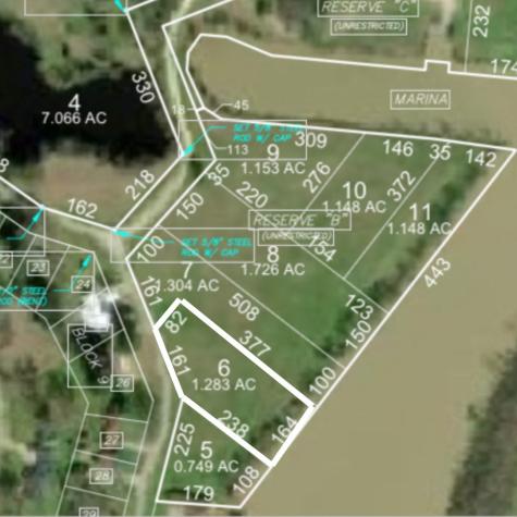 Lot 6 Lake Livingston Lane Trinity TX 75862