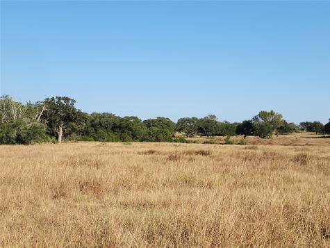 Tbd Tbd Fm 318 Hallettsville TX 77964