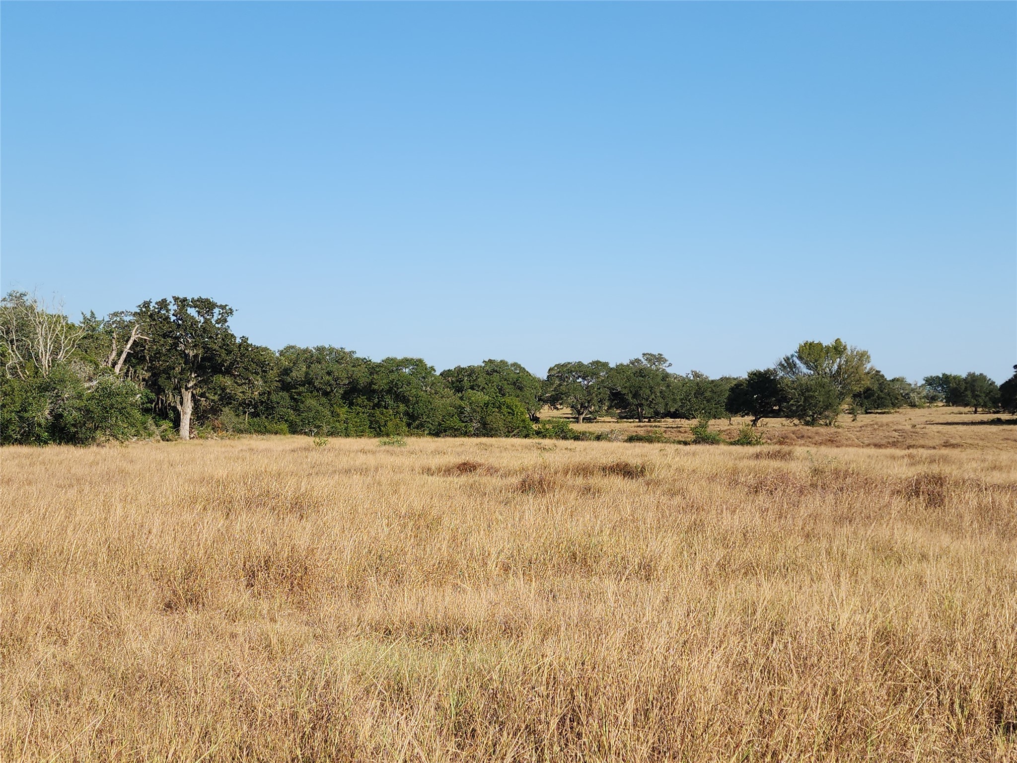 Tbd Tbd Fm 318 Hallettsville TX 77964