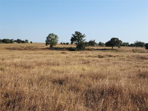 Tbd Tbd Fm 318 Hallettsville TX 77964