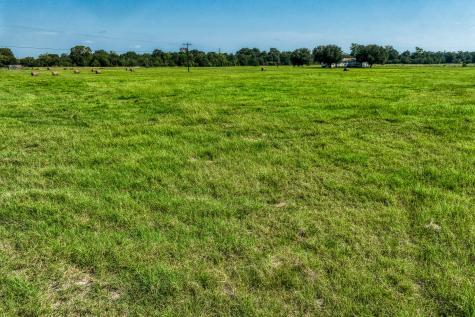 0000 Pee Dee Lane Madisonville TX 77864