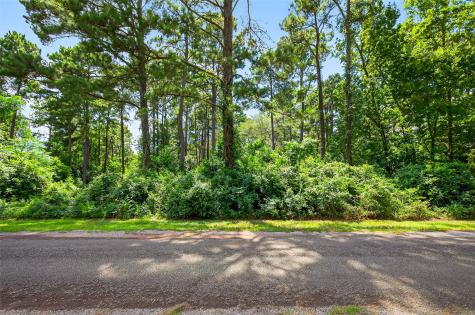 0 Colquitt Road New Waverly TX 77358