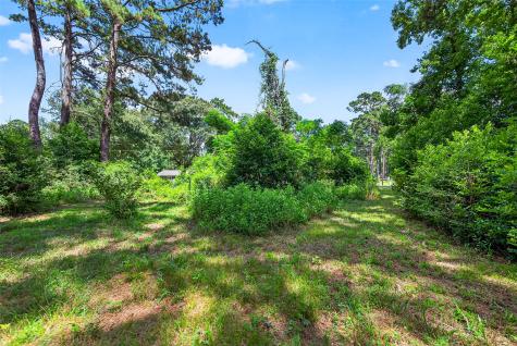 0 Colquitt Road New Waverly TX 77358
