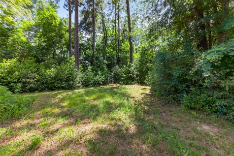 0 Colquitt Road New Waverly TX 77358
