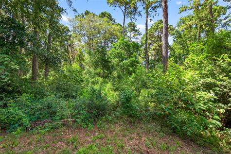 0 Colquitt Road New Waverly TX 77358