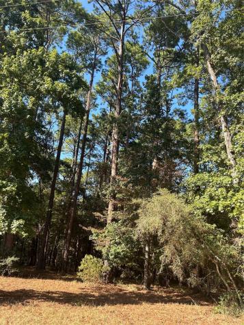 606162 Grand Pine Circle Livingston TX 77351