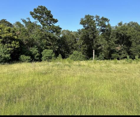 28406 Calaveras Creek Court Houston TX 77336