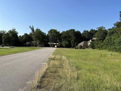 28406 Calaveras Creek Court Houston TX 77336